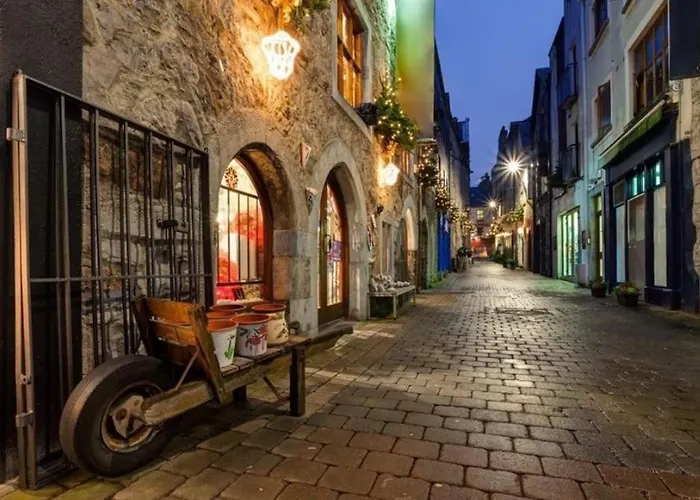 3 - Kirwan's Court Apartament Galway